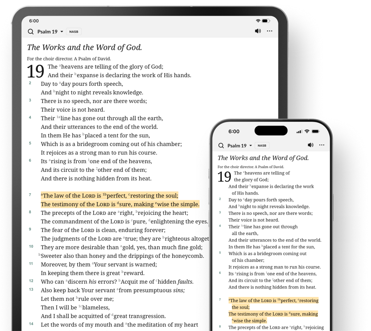 The MacArthur Study Bible App Desktop Preview